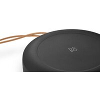 Bang & Olufsen Beosound A1 2nd Gen (черный антрацит) Image #8