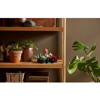 LEGO Creator Expert 10309 Суккуленты Image #8