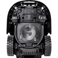 Cedrus C-MOW L16 Image #6