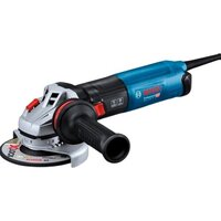 Bosch GWS 17-125 TS Professional 06017D0400