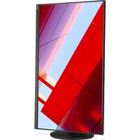 NEC MultiSync E243F (черный) Image #11