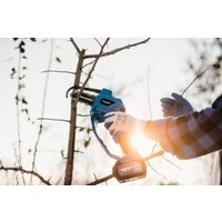 Blaupunkt CS2010 (без АКБ) Image #2