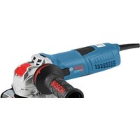 Bosch GWX 13-125 S Professional 06017B6002