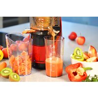 Blaupunkt SJV801 Image #5