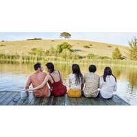 Bose Portable Home Speaker (серебристый) Image #8