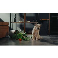 Hisense HFC743169BKA Image #16