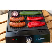 Blaupunkt GRS501 Image #4