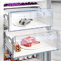 BEKO RFSA240M41WN Image #8