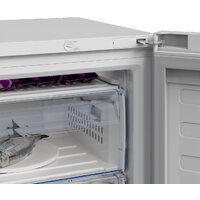 BEKO RFSA240M41WN Image #6