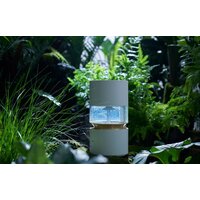 SmartMi Humidifier Rainforest CJJSQ06ZM (международная версия) Image #6