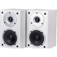 WILSON Raptor Mini (белый)