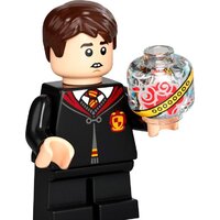 LEGO Harry Potter 76395 Хогвартс: первый урок полетов Image #13