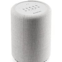 Audio Pro G10 (светло-серый) Image #2