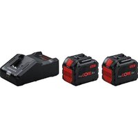 Bosch 1600A02T5W (18В/2x12 Ah + 18В)