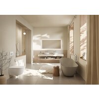 Villeroy & Boch Artis 417943Rw Image #11