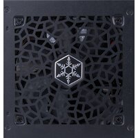 SilverStone DA750R Gold SST-DA750R-GMA Image #6