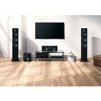 Dynaudio Emit 25С (черный) Image #8