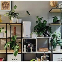 Stadler Form Eva Wi-Fi (белый) Image #10