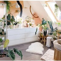 Stadler Form Eva Wi-Fi (белый) Image #11