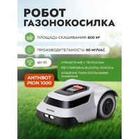 Anthbot Pion 1000 Image #2