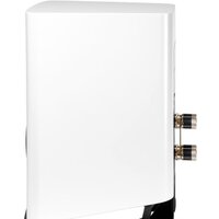 Elac Carina BS243.4 (белый) Image #4