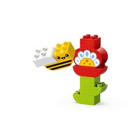 LEGO Duplo Креативный цветочный сад 10444 Image #3
