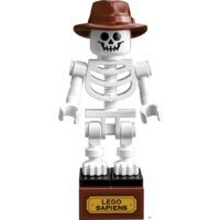 LEGO Ideas 21320 Кости динозавра Image #17
