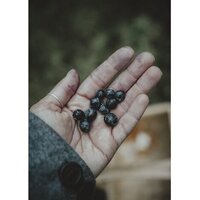 Olympus OM-5 Body (серебристый) Image #20