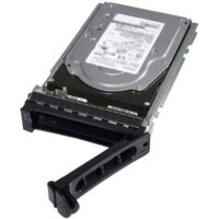 Dell 400-AXRJ 480GB