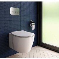 Ideal Standard ProSys Oleas M3 R0123JG (хром матовый) Image #3
