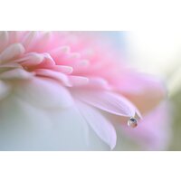 Nikon Z6 III Body Image #29