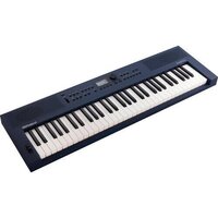Roland Go:Keys 3 (темно-синий) Image #2