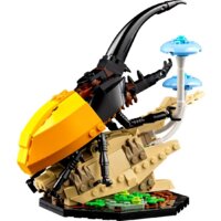 LEGO Ideas 21342 Коллекция насекомых Image #4
