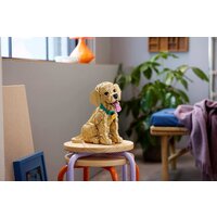 LEGO Icons 11384 Щенок золотистого ретривера Image #16