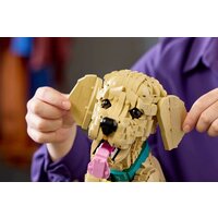 LEGO Icons 11384 Щенок золотистого ретривера Image #14