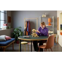 LEGO Icons 11384 Щенок золотистого ретривера Image #11