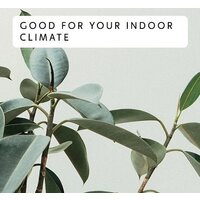 Mill AB-H2000DN Image #8