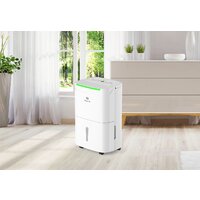 G21 Impact 20 Image #5