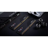 G.Skill Flare X5 2x24ГБ DDR5 5200 МГц F5-5200J4040A24GX2-FX5 Image #11