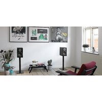 DALI Oberon 3 Black Ash Image #5