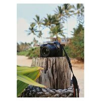 Canon EOS R10 RF-S 18-150mm F3.5-6.3 IS STM Image #14