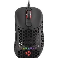 Genesis Xenon 800 Image #10