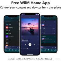 WiiM Amp (серебристый) Image #7