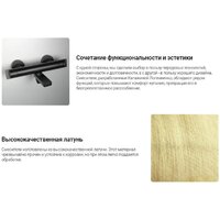 Deante Br Gold BCH R4BT Image #2