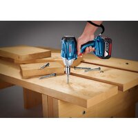Bosch GDS 250-LI Professional 06019G6120 (с 2-мя АКБ) Image #2
