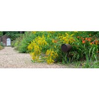 Monitor Audio Climate Garden CLG160 Image #6