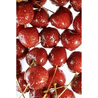 Nikon Z50 II Double Kit 16-50mm VR + 50-250mm VR Image #38