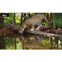 SJCAM M50 (зеленый) Image #6