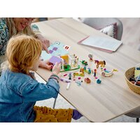 LEGO Friends 41746 Тренировка лошадей Image #6