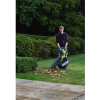 Ryobi RBV36B [5133002524] Image #7